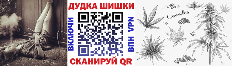 Бошки Шишки планчик блэк спрут ONION Белозерск